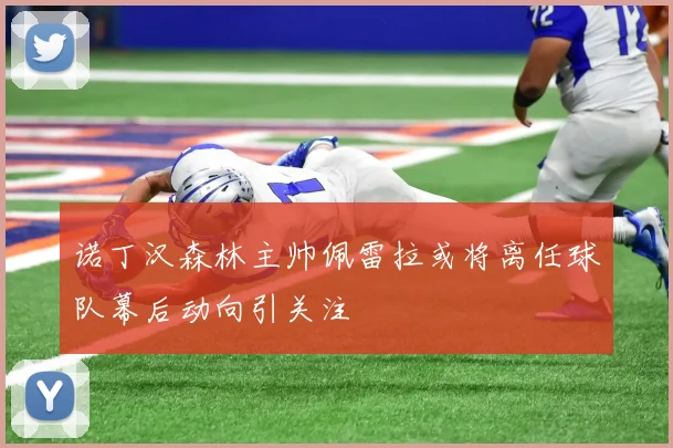 诺丁汉森林主帅佩雷拉或将离任球队幕后动向引关注